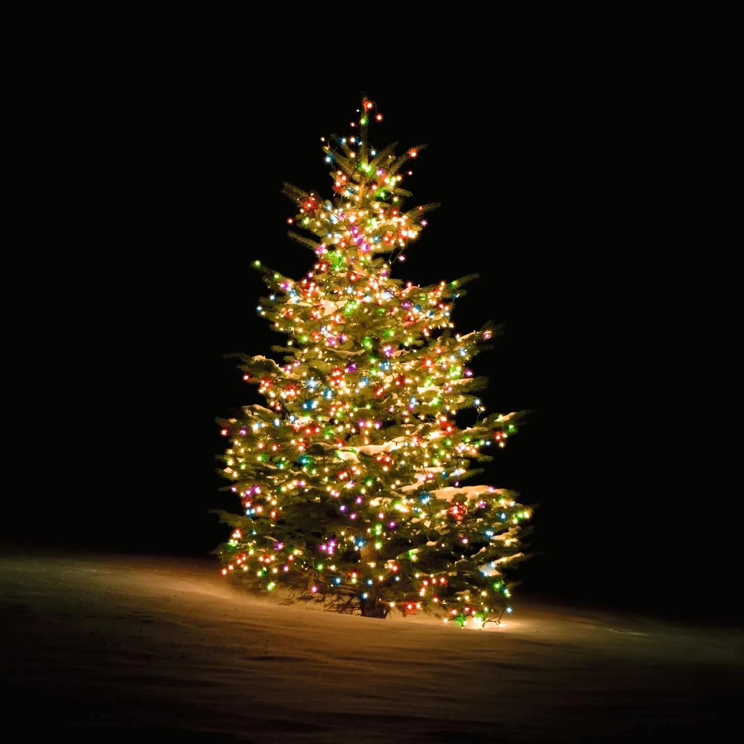 Smart Home Weihnachtsbaum-Lichterkette, bunt (RGB)